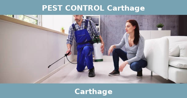 PEST CONTROL Carthage